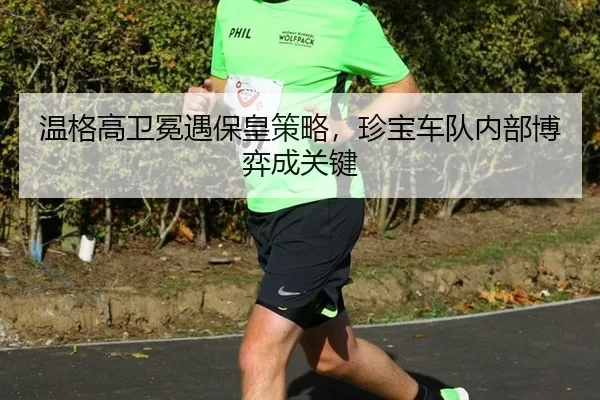 wen-ge-gao-wei-mian-yu-bao-huang-ce-lve-zhen-bao-che-dui-nei-bu-bo-yi-cheng-guan-jian-2-832.jpg