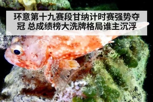 环意第十九赛段甘纳计时赛强势夺冠 总成绩榜大洗牌格局谁主沉浮