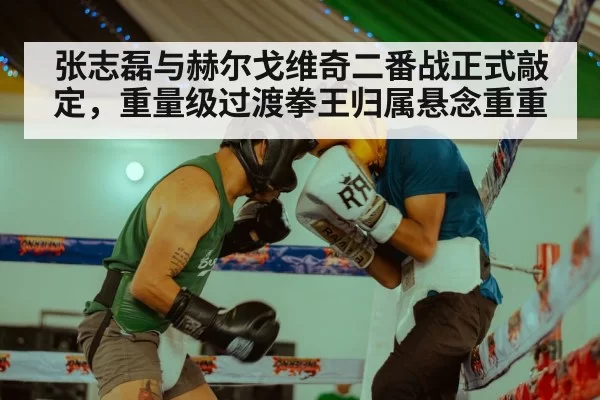 张志磊与赫尔戈维奇二番战正式敲定,重量级过渡拳王归属悬念重重